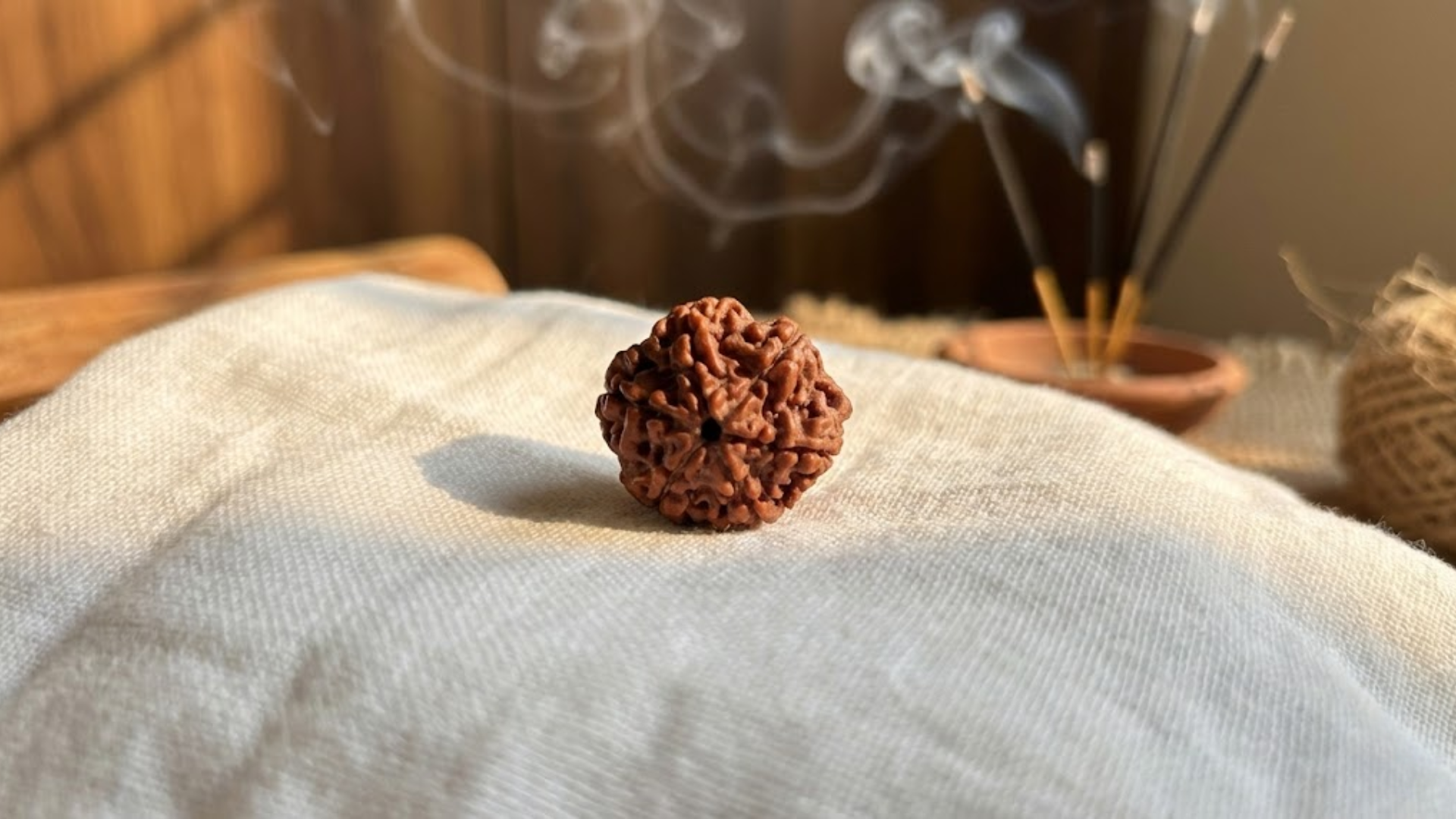 6 Mukhi Rudraksha