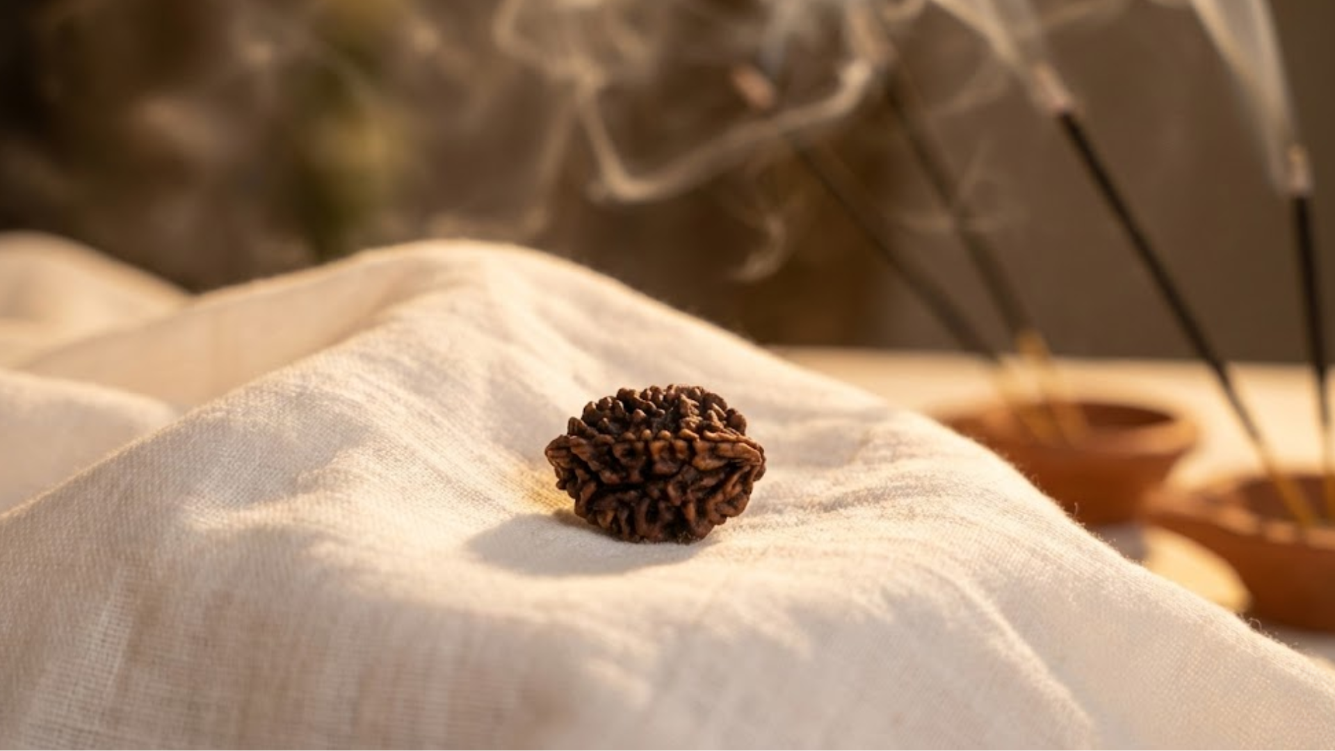 2 Mukhi Rudraksha 
