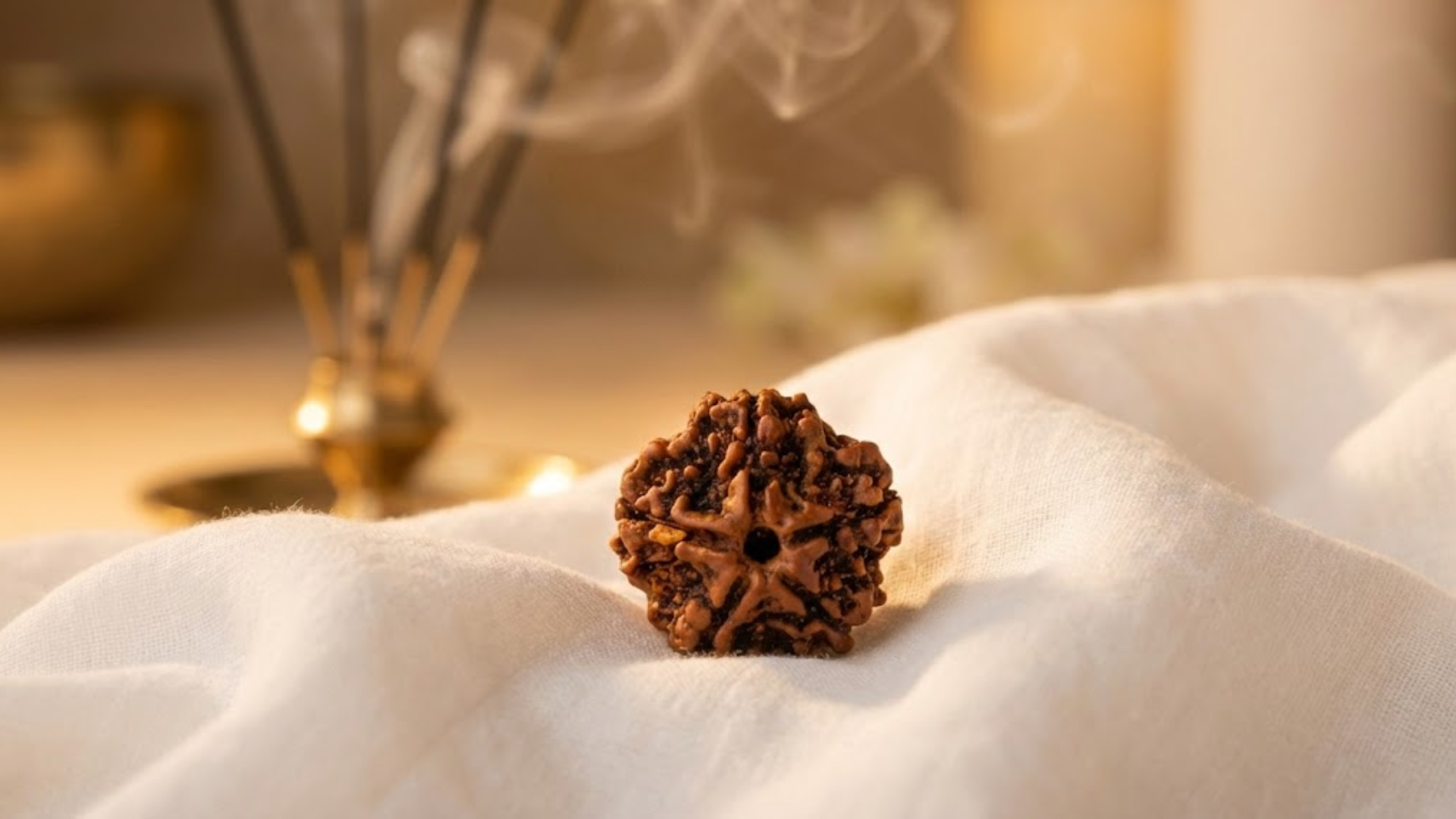 5 Mukhi Rudraksha 