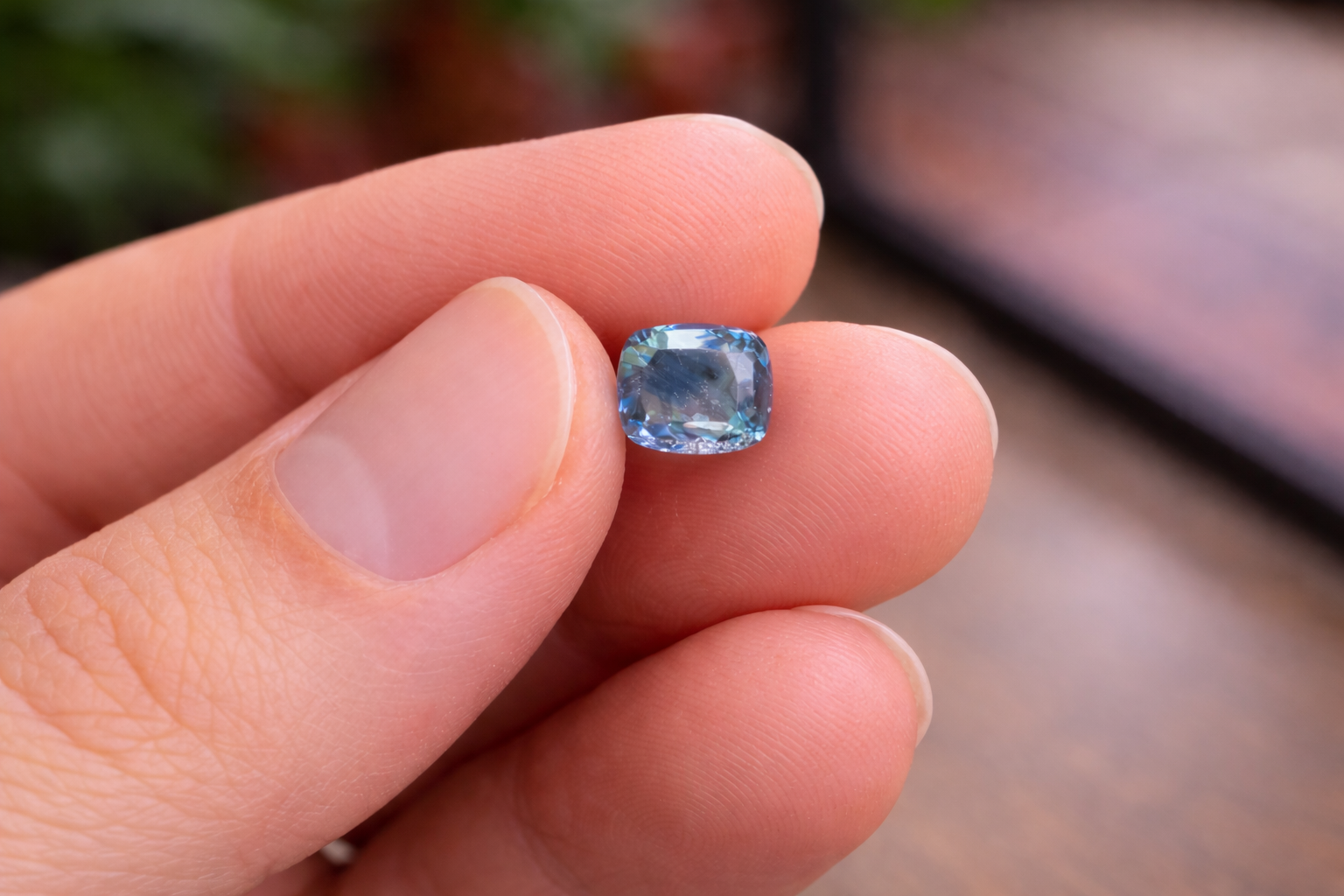 Pitambari (Neelambari) - श्रीलंका (Ceylon) / अल्ट्रा प्रीमियम गुणवत्ता