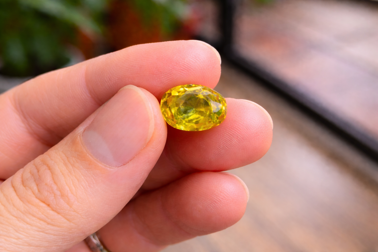 Pitambari (Peetambari) – Bangkok / Mid-Basic Quality