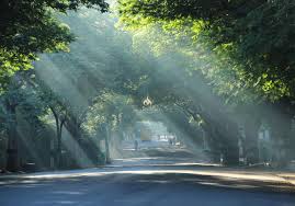 Thiruvannamalai Girivalam Path